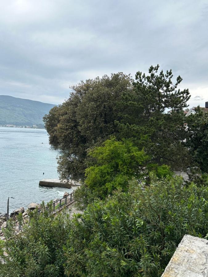 Sea ​​Pearl Διαμέρισμα Χέρτσεγκ Νόβι Εξωτερικό φωτογραφία